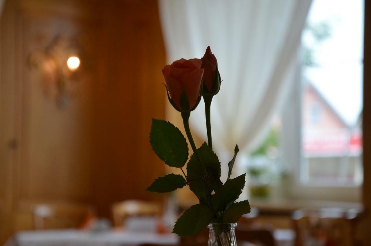 Hotel Krone Kressbronn Am Bodensee Dış mekan fotoğraf